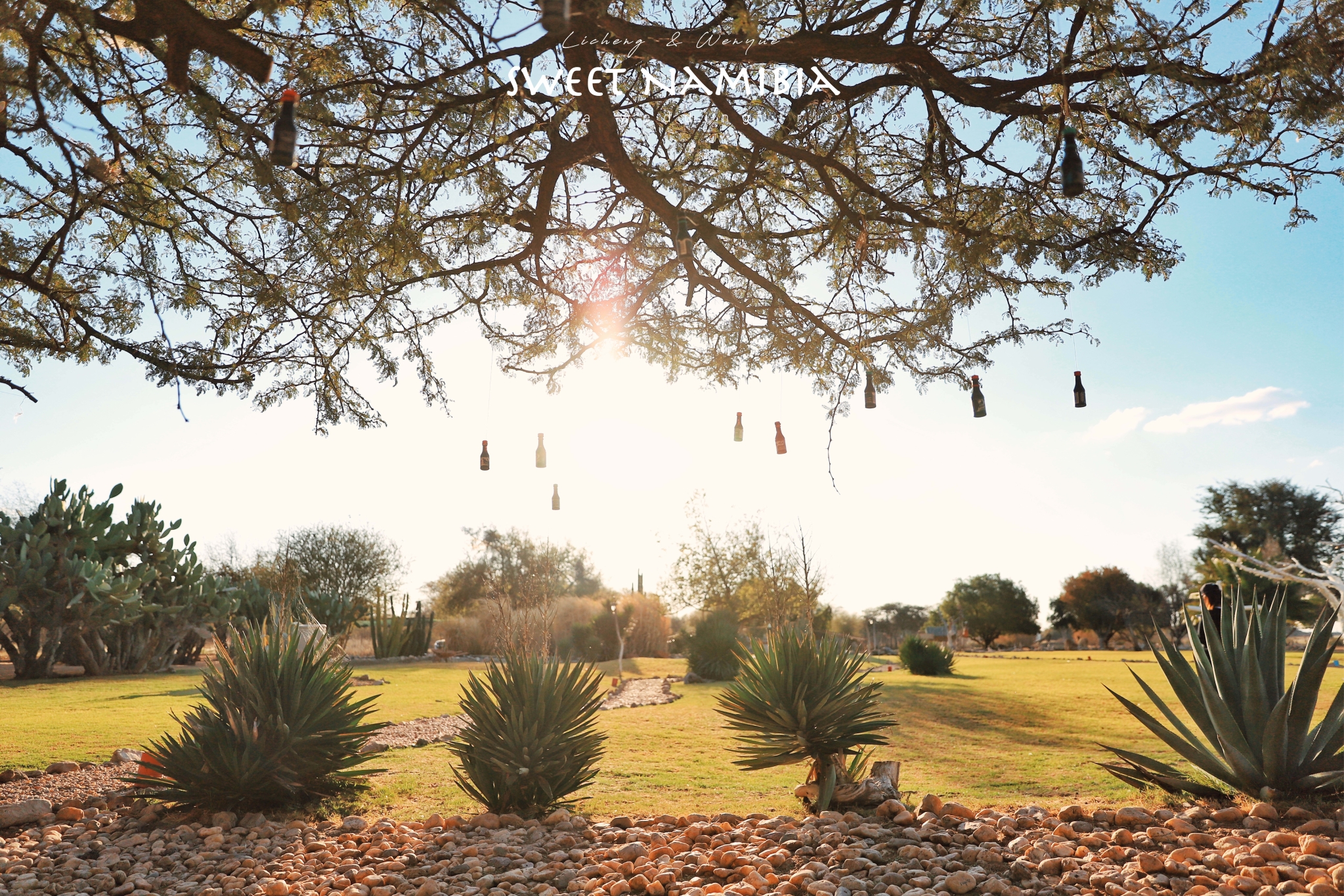 哈纳斯野生动物保护基地