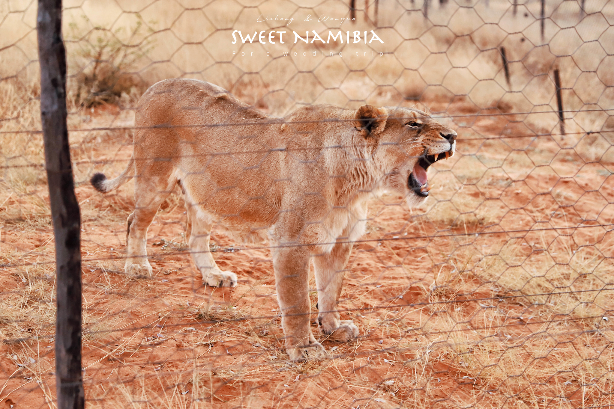 哈纳斯野生动物保护基地