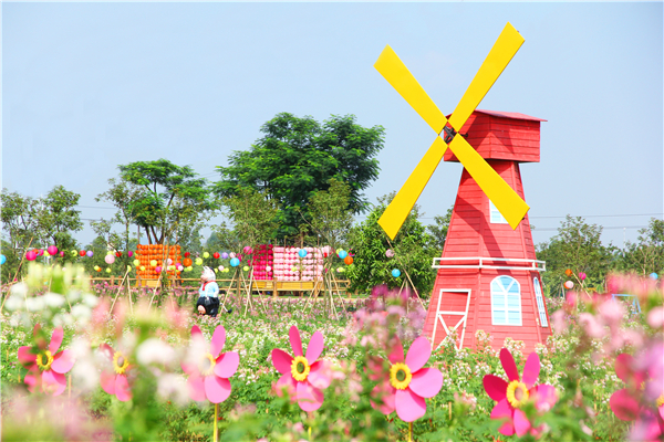 廣東 佛山 盈香生態園門票