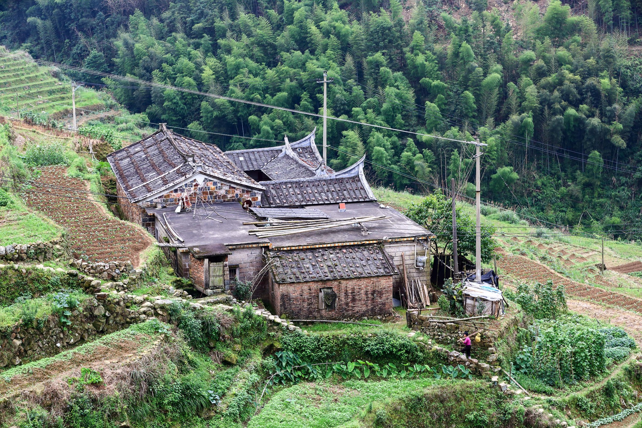 行摄村落(5)--路漫漫,其修远兮;同安西坑村