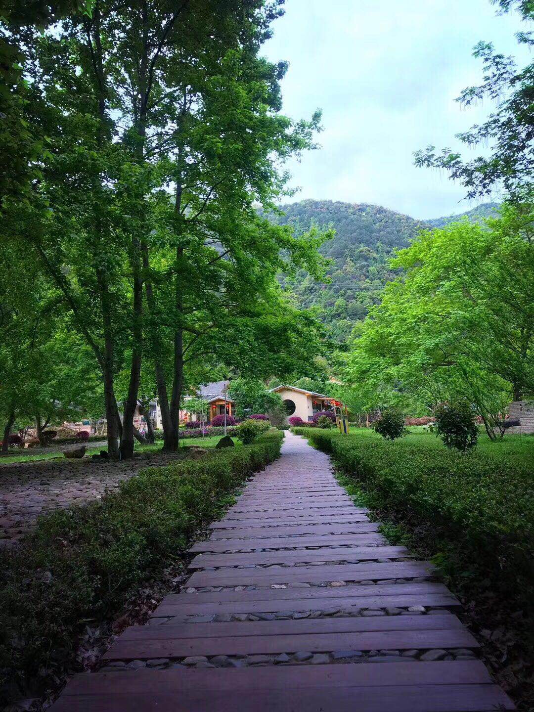 灵溪河森林旅游度假公园门票 24小时小时有效票 山水洗尘心让肺深呼吸