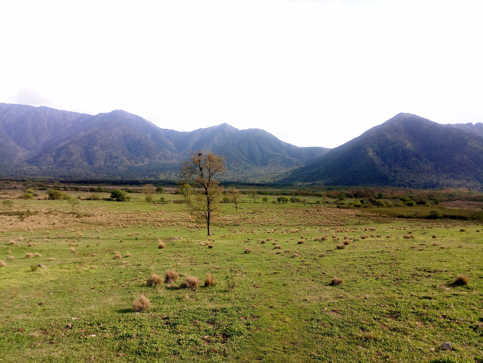 石棉縣旅遊圖片,石棉縣自助遊圖片,石棉縣旅遊景點照片 - 馬蜂窩圖庫