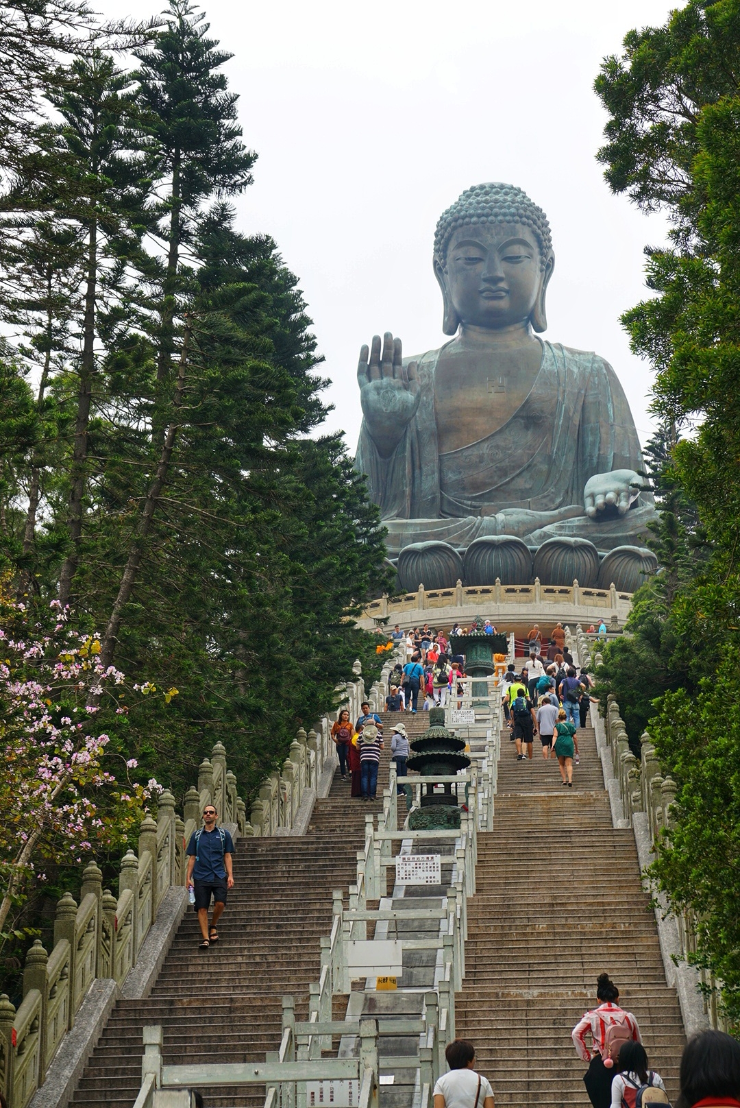 大澳 昂坪大佛 昂坪奇趣徑 昂坪