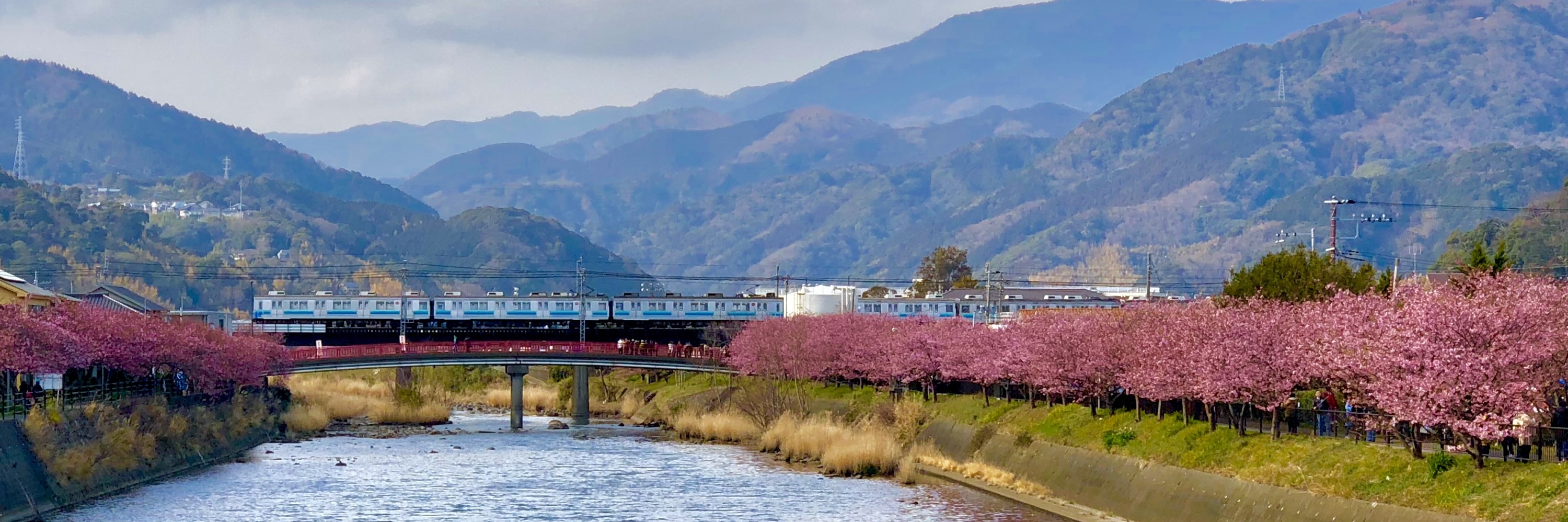 急行初春关东_游记