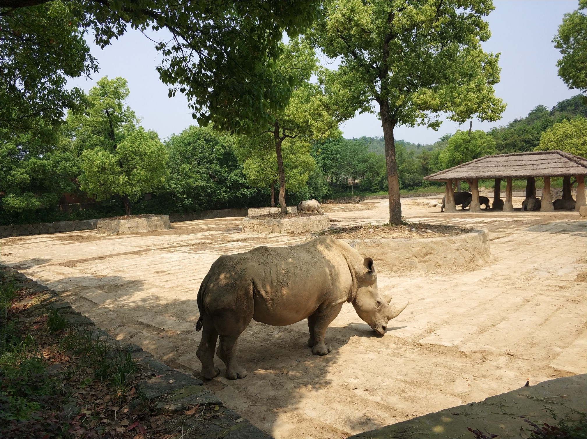 杭州野生動物園一日遊