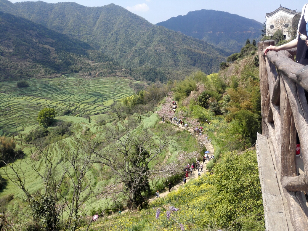 2018-03-30婺源二日遊(江灣,篁嶺,李坑),婺源旅遊攻略 - 馬蜂窩