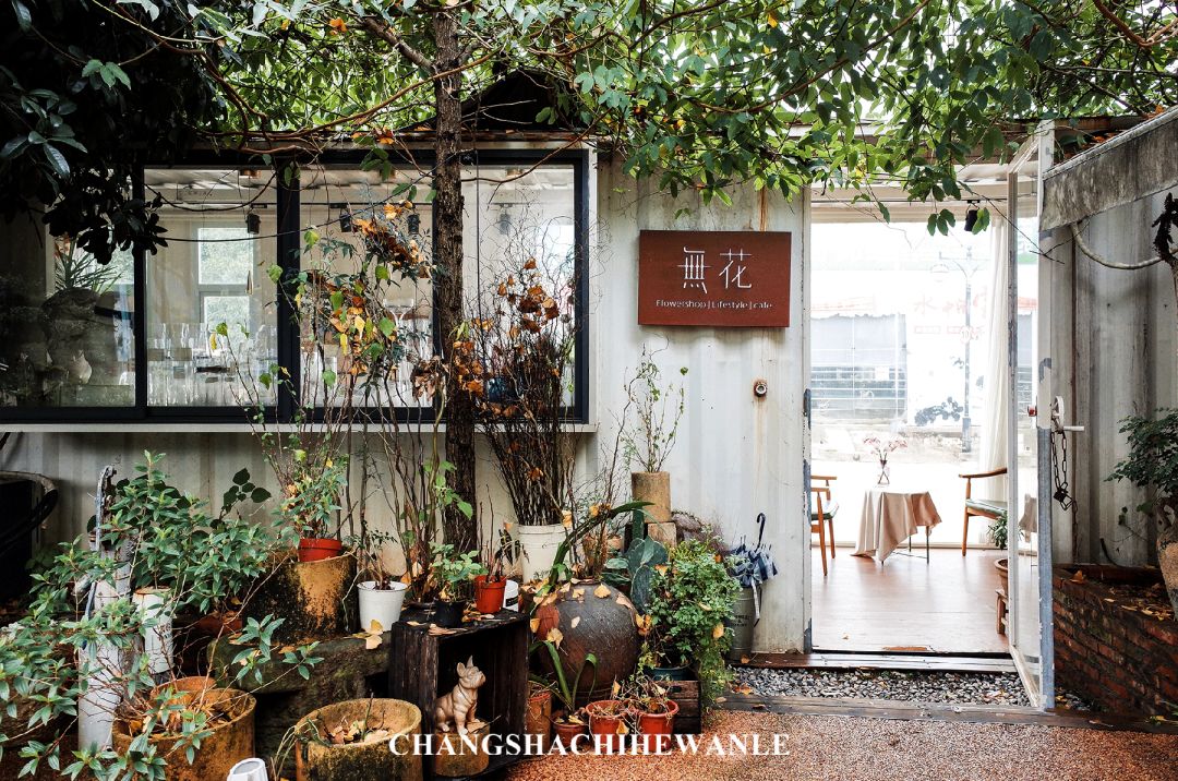 探访长沙花鸟鱼虫市场 藏在城市角落的生活小美好 手机马蜂窝
