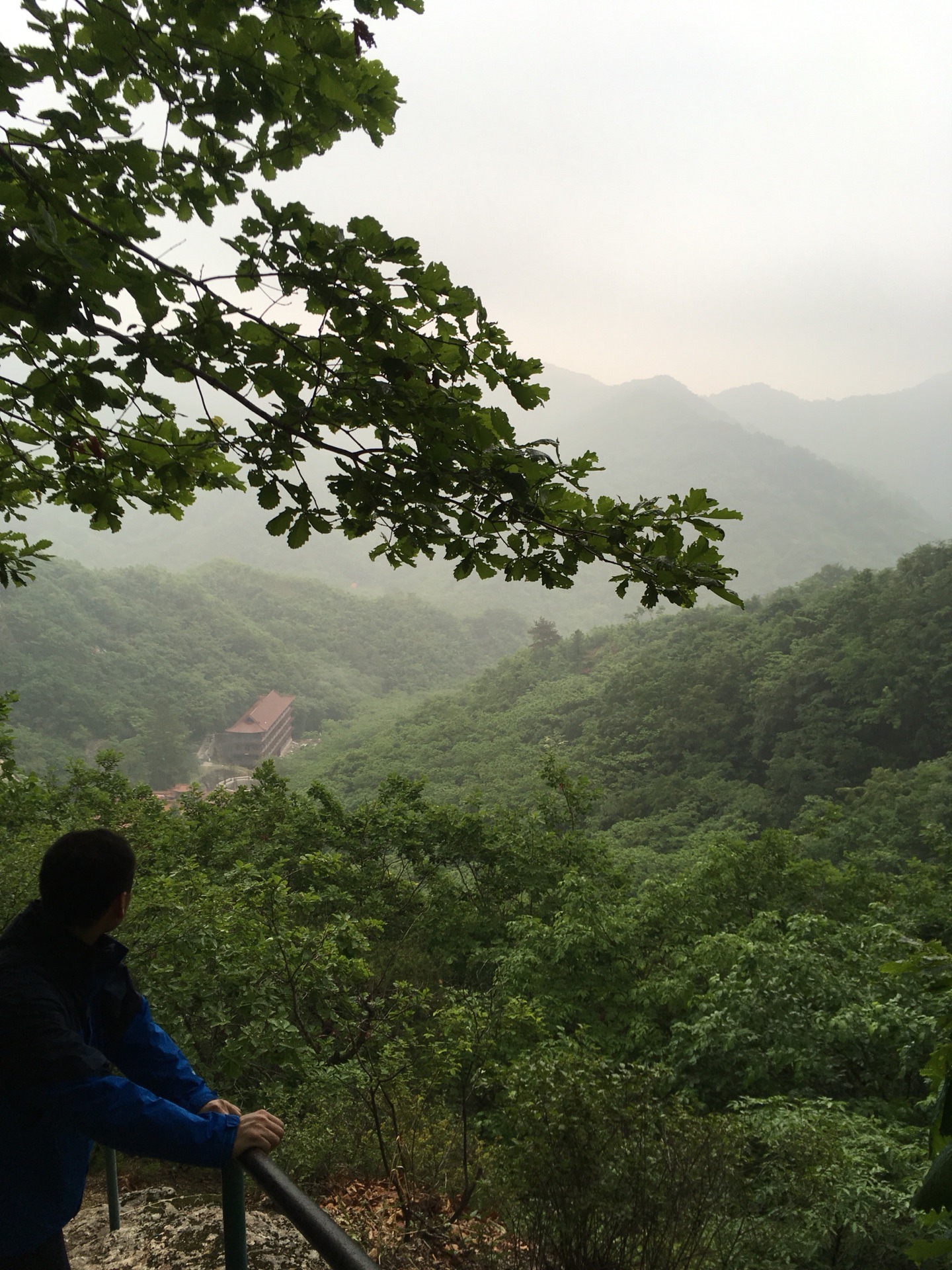 【情滿於山】之【岫巖藥山】