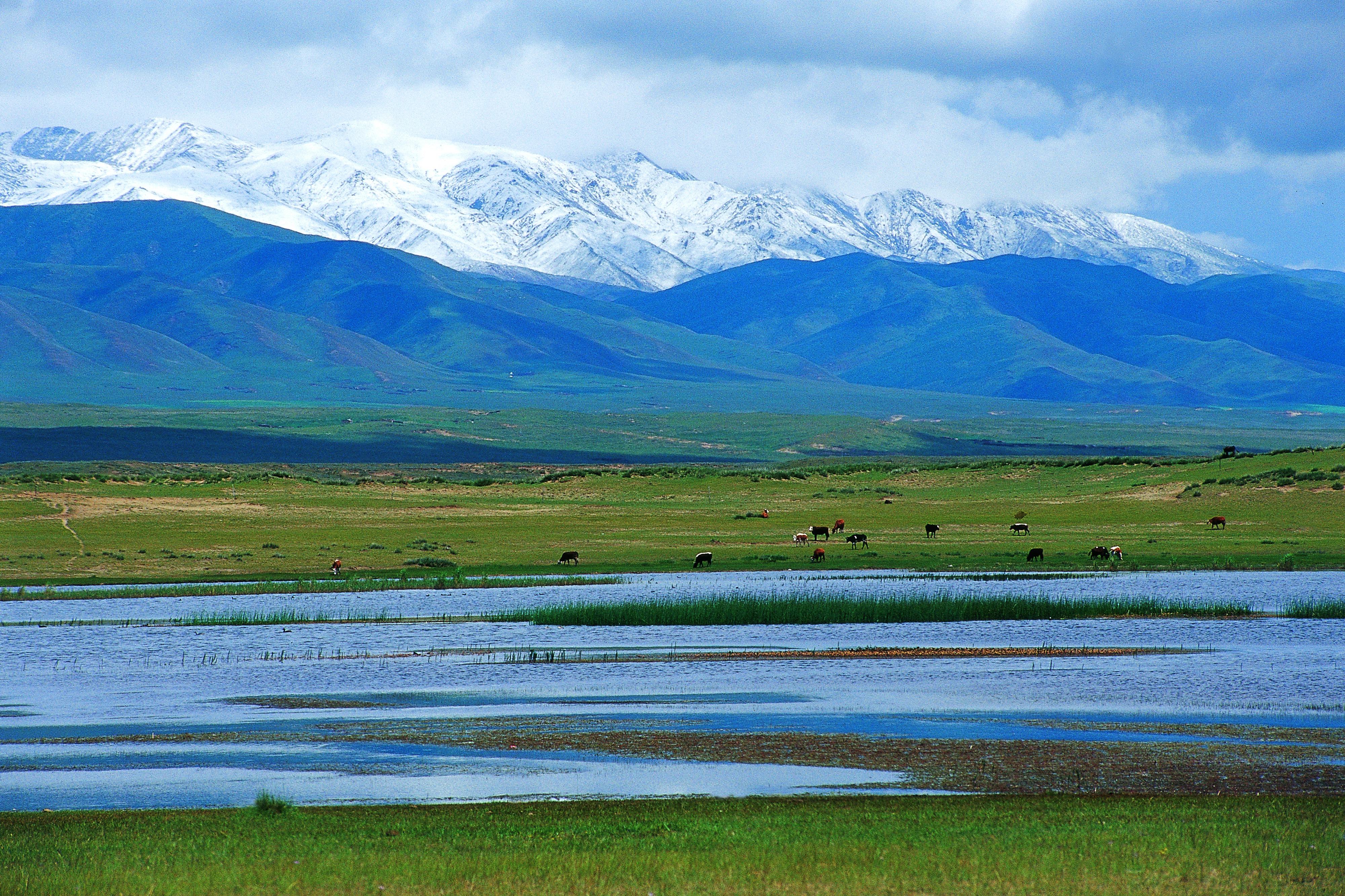 之境茶卡盐湖 醉美青海湖 塔尔寺 阿柔大寺 祁连草原 七彩丹霞品质游
