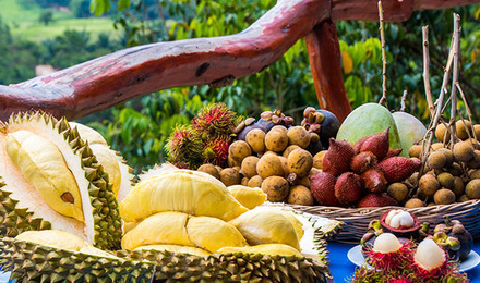 芭提雅 素帕汤水果园门票(水果大餐 快速出票)2人起订