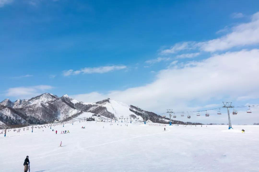 藏王温泉滑雪场的最长雪道,是从山顶的树冰原雪道,一路下滑到大森滑雪