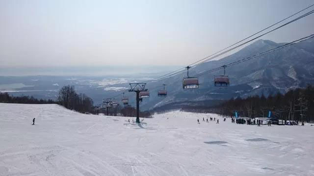 藏王温泉滑雪场的最长雪道,是从山顶的树冰原雪道,一路下滑到大森滑雪