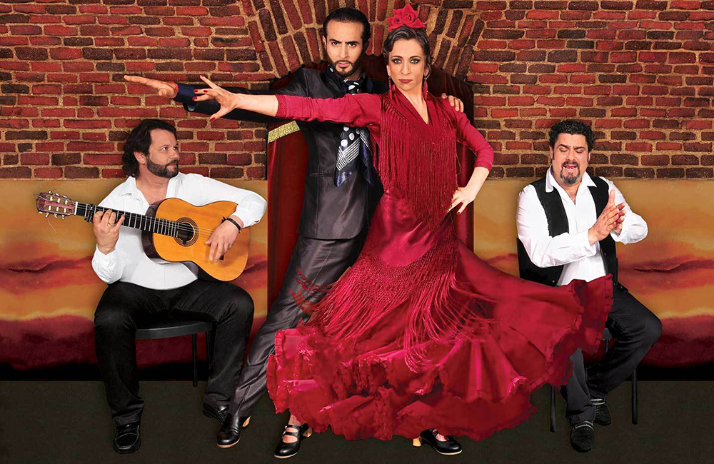 激情似火 巴塞罗那西班牙国粹弗拉门戈舞蹈表演 (专业舞团表演 多种