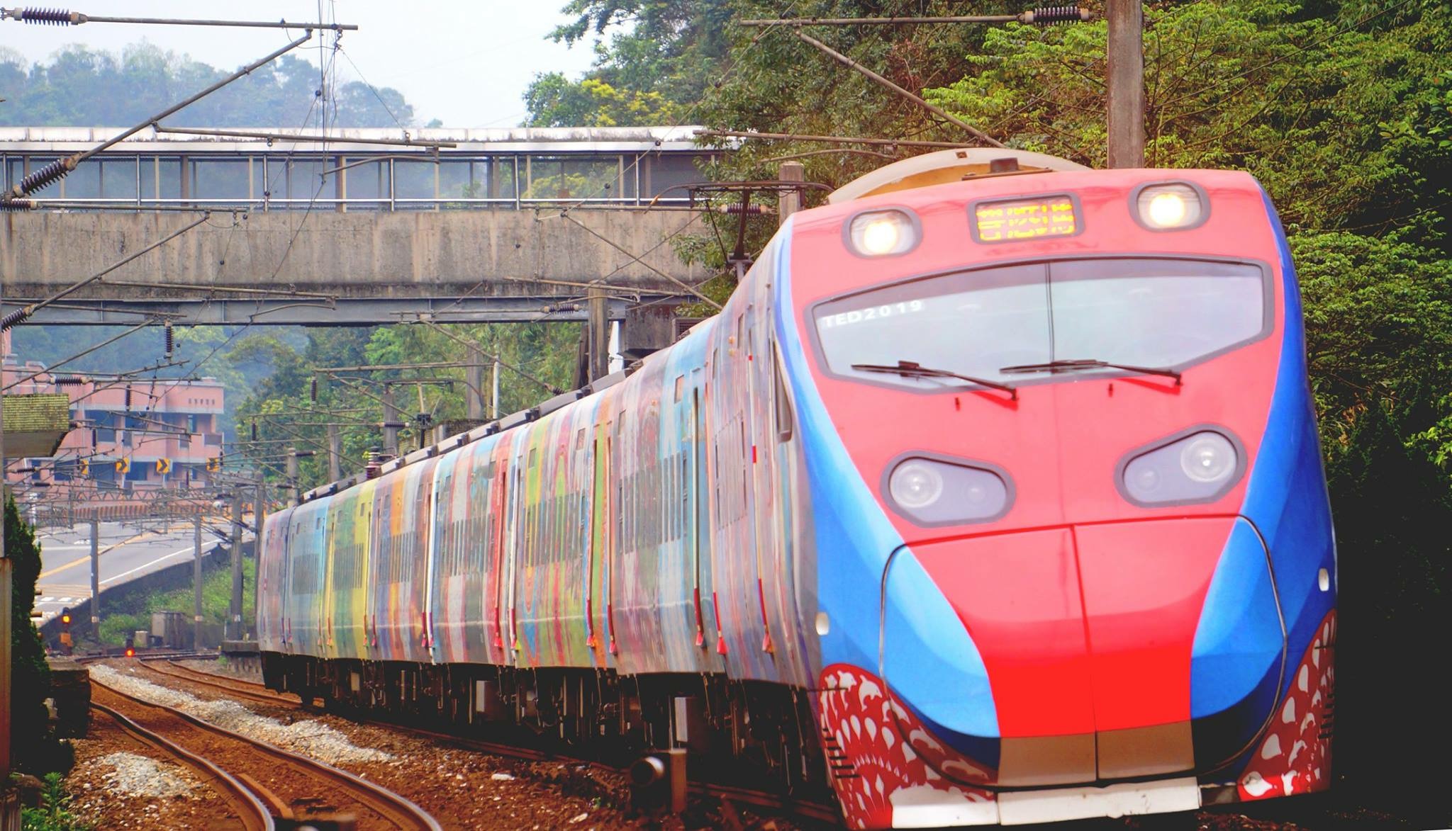 臺灣 臺鐵火車票 普悠瑪彩繪列車 臺北往返花蓮(可代定臺鐵便當送上車