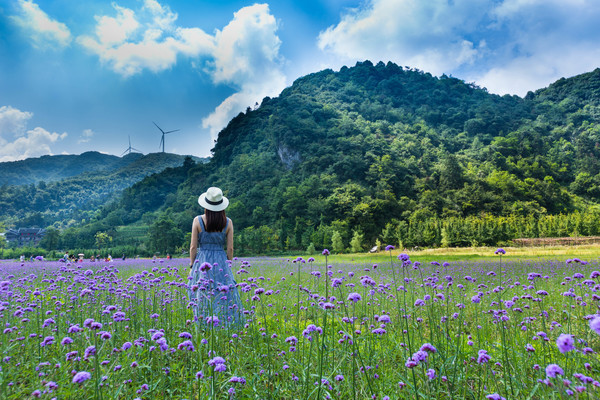 重庆花坝旅游景区游记