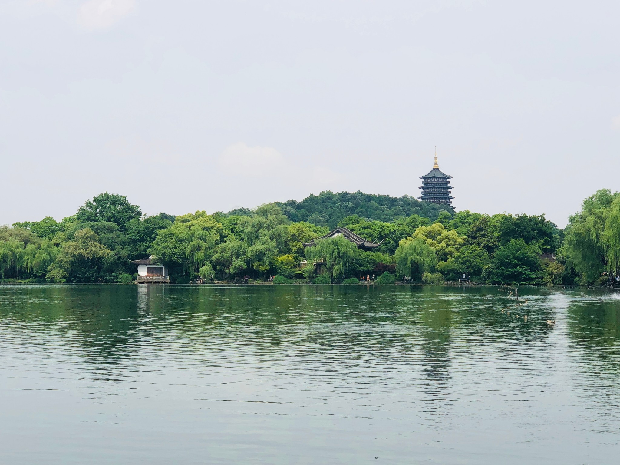 杭州西湖 and 嘉兴南湖~2018年的五一安逸之行