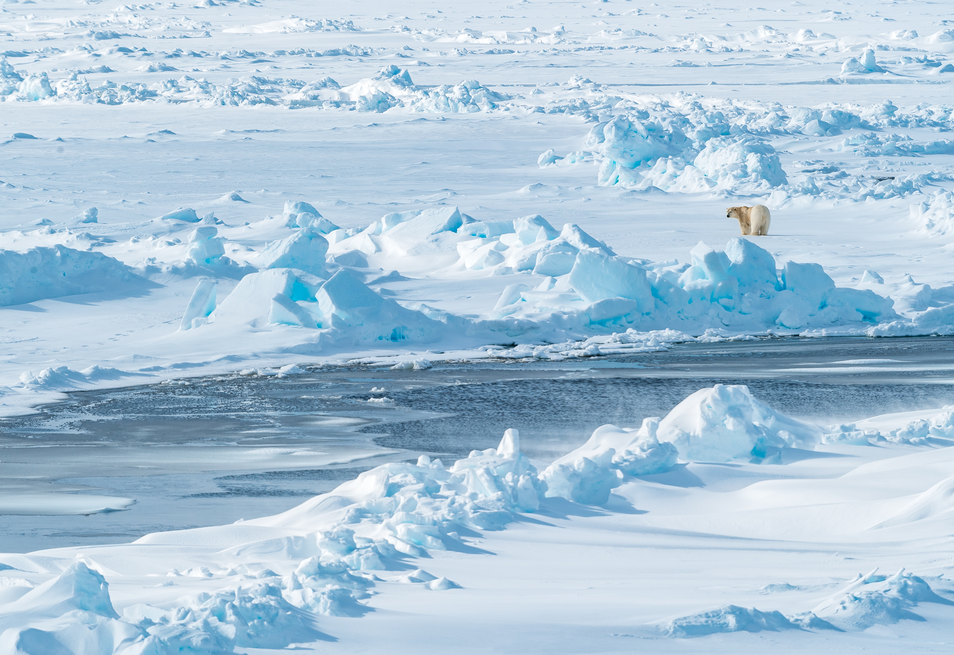 北极点,斯瓦尔巴岛,格陵兰岛,北极邮轮探险选哪里?