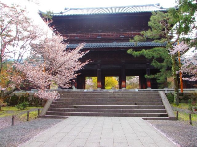 日本京都 祗園賞櫻一日遊(青龍殿 圓山公園 高臺寺 南禪寺)