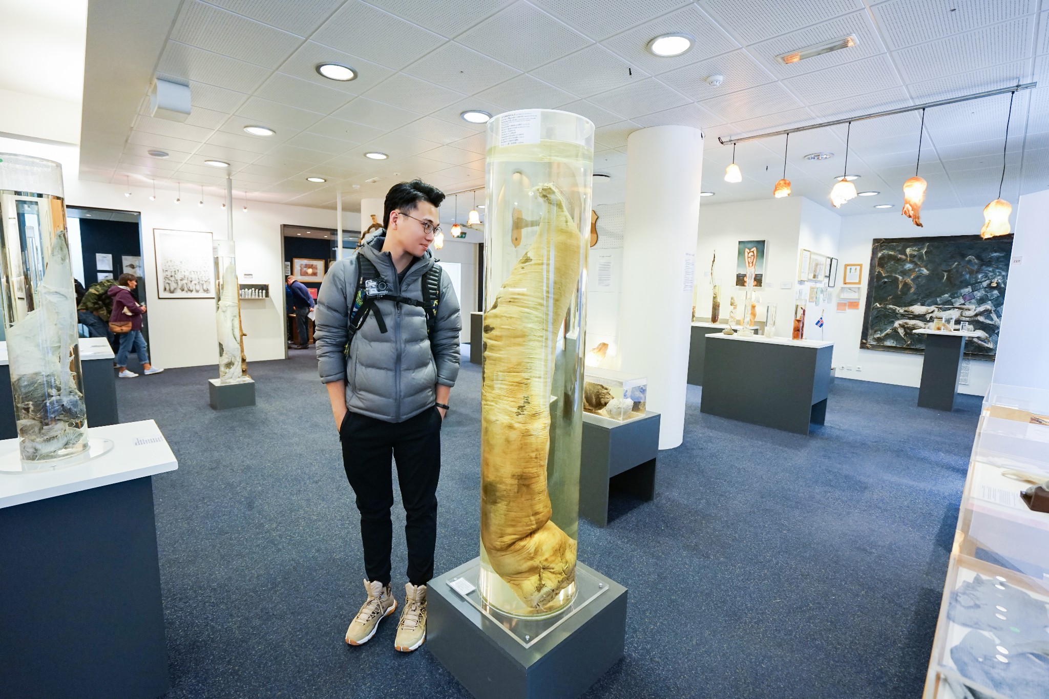 冰岛丁丁博物馆34cm图片