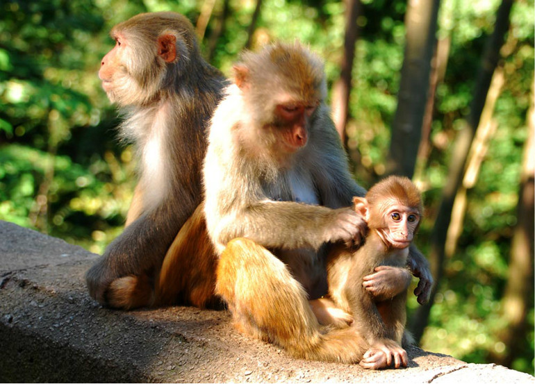 "本土老司机"带你一起游贵阳