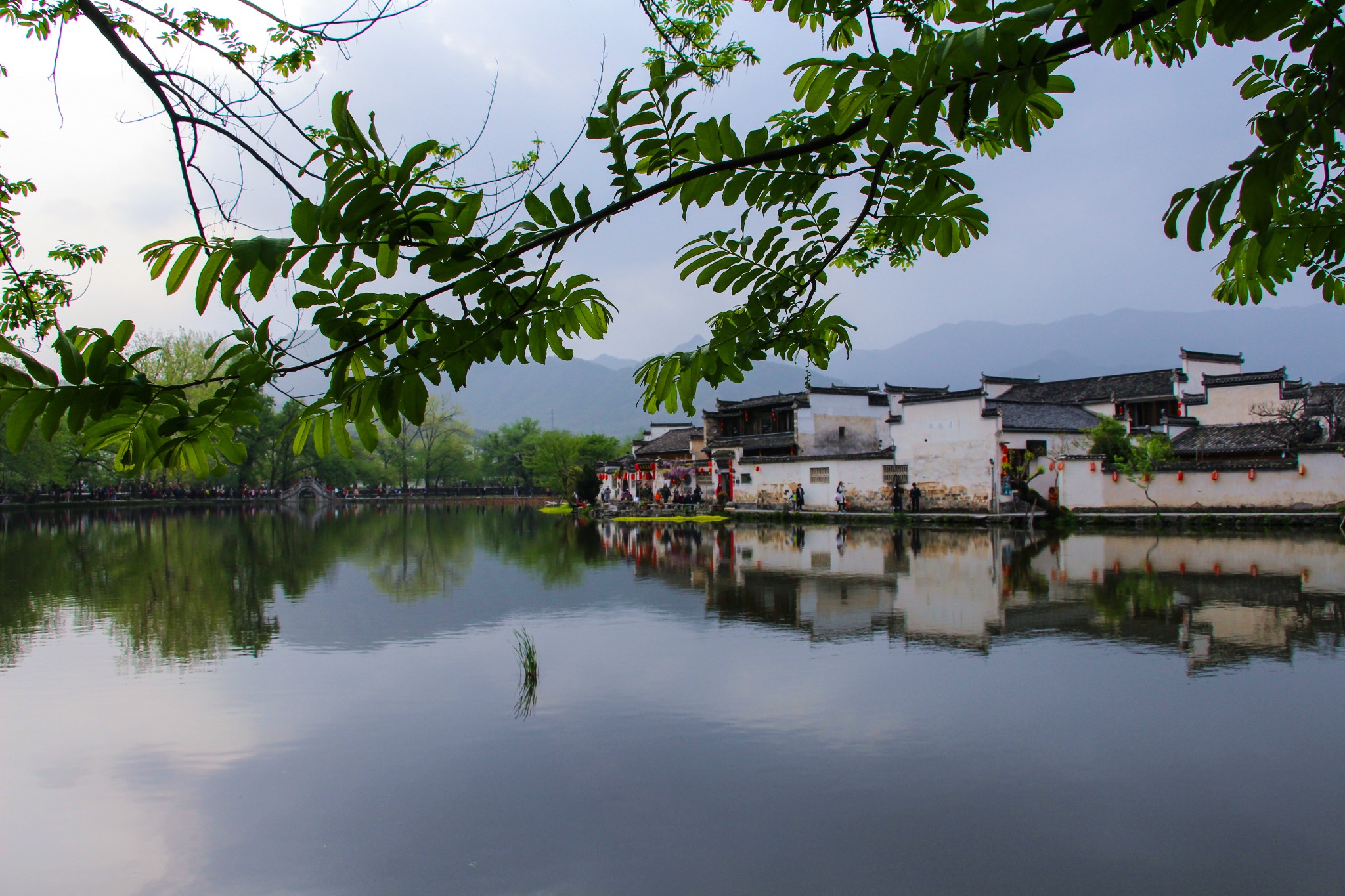 宏村一日遊必去景點,宏村一日遊值得去的景點推薦-旅遊景點盤點-螞