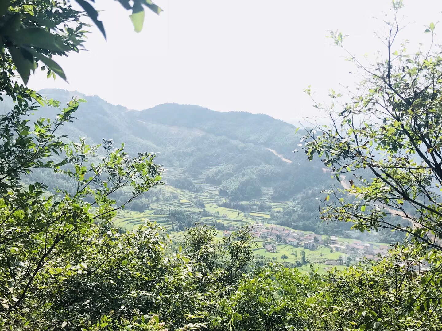 相思山景区