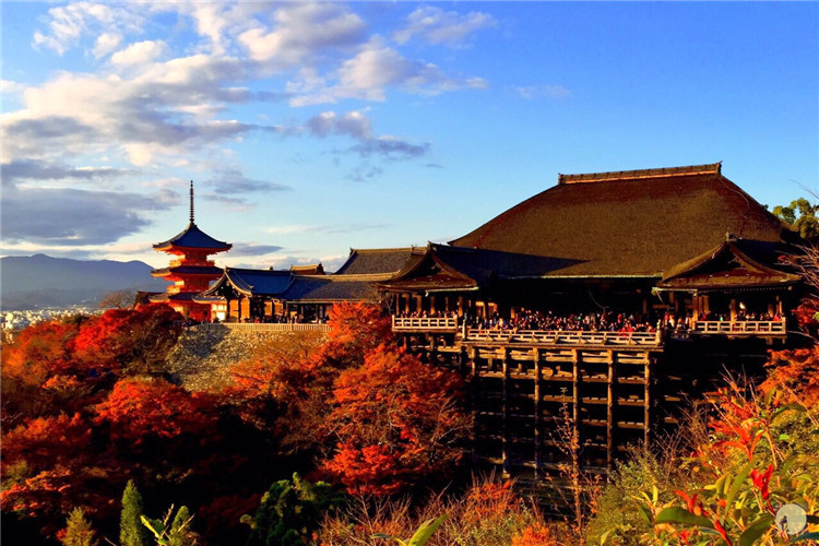 湯 升級1晚五星希爾頓酒店 京都深度一日遊 穿和服漫步於祗園藝伎街