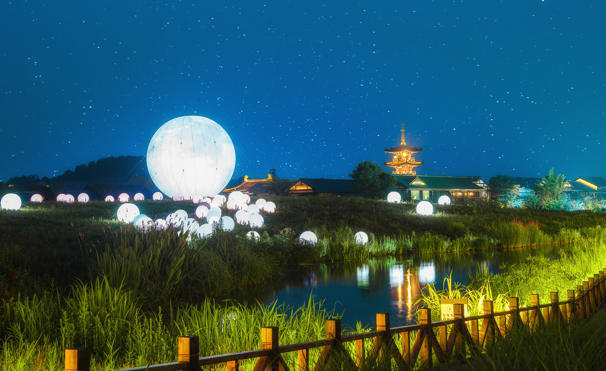 灵山小镇拈花湾 星光花海