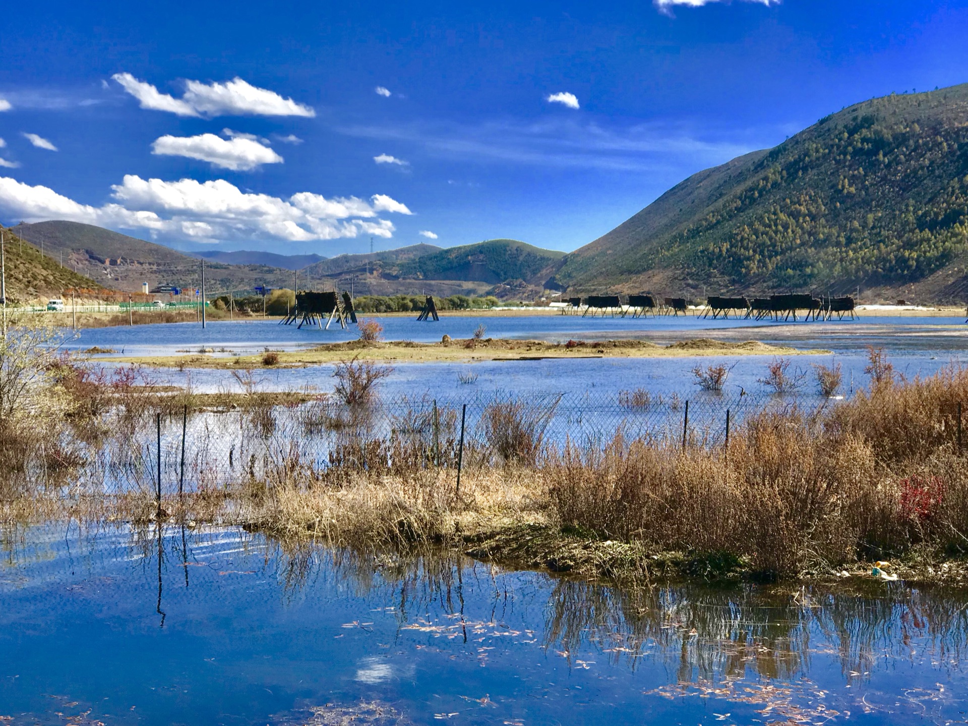 Shangri-la Napahai Nature Reserve