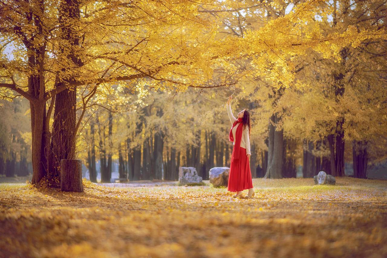 秋季浙江周边一日游推荐，带娃打卡网红赏秋地