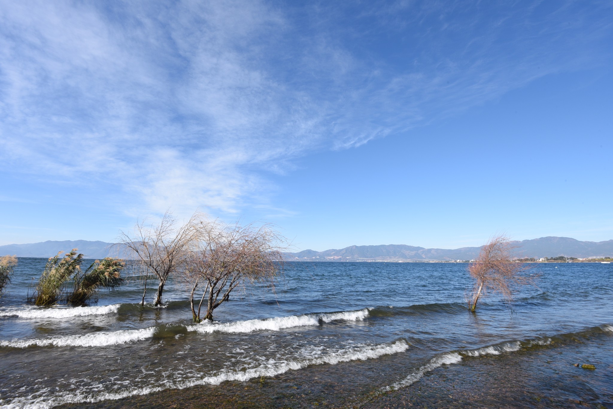 昆明出发,澄江抚仙湖二日游:月亮湾,禄充,.