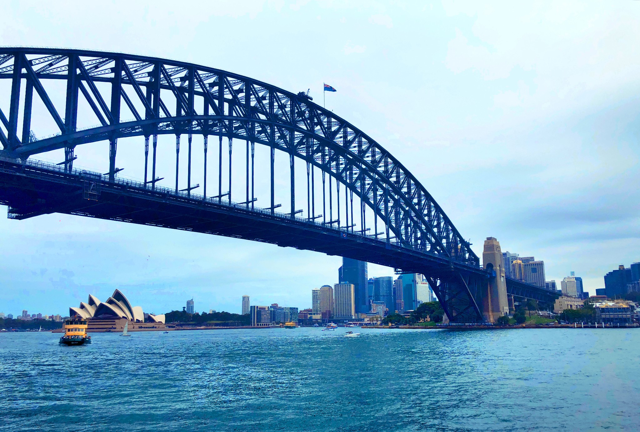 澳大利亚之行(1),cook park-悉尼歌剧院-海港大桥-邦迪海滩-野生动物