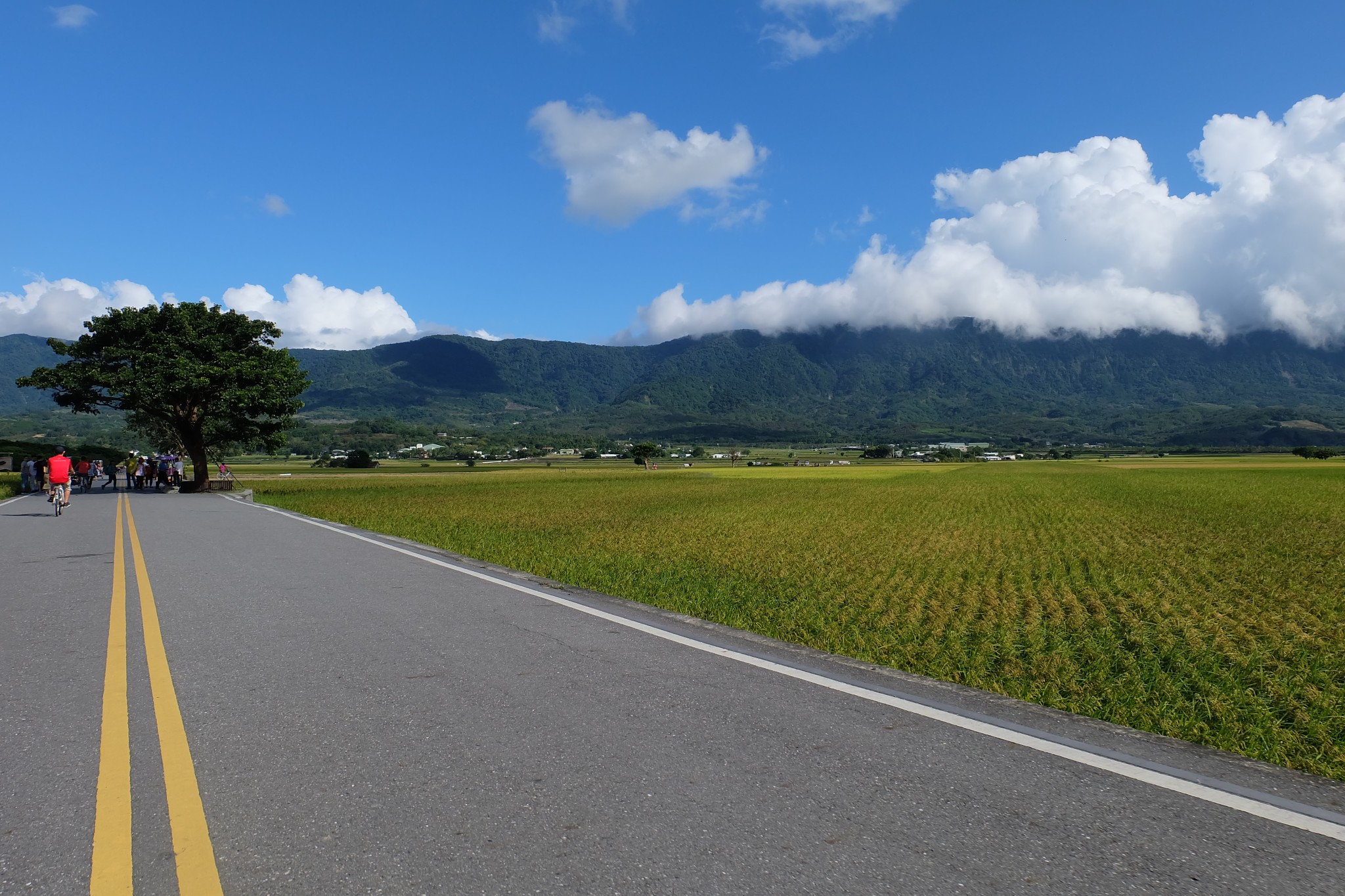 台东伯朗大道