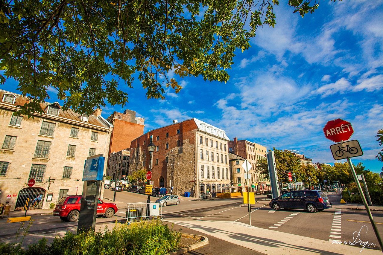 蒙特利尔旅游图片,蒙特利尔自助游图片,蒙特利尔旅游景点照片 - 马