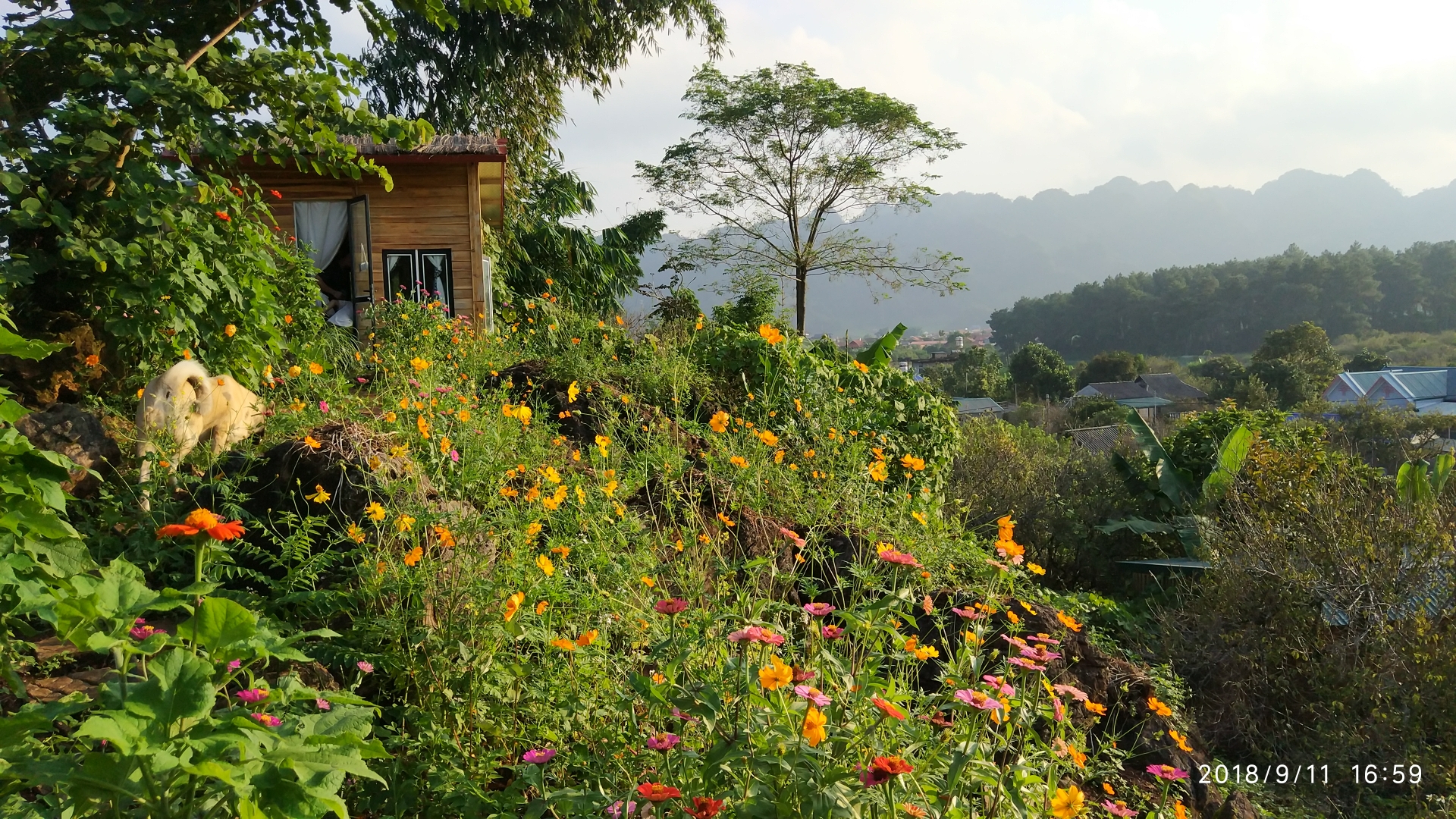 越南-山罗省木州之旅