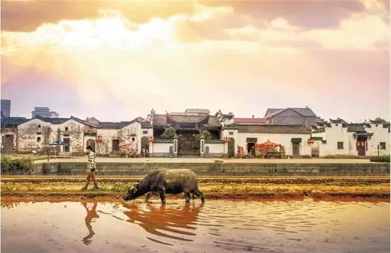 浙江这9个古村镇,非常适合周末去撒欢~
