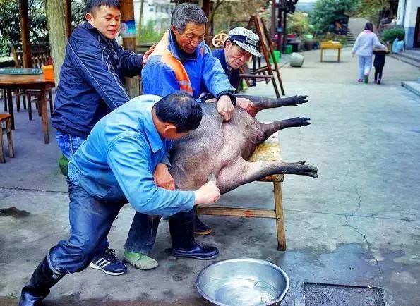 年味特辑丨浙江版年味土猪肉地图新鲜出炉!收好不谢!