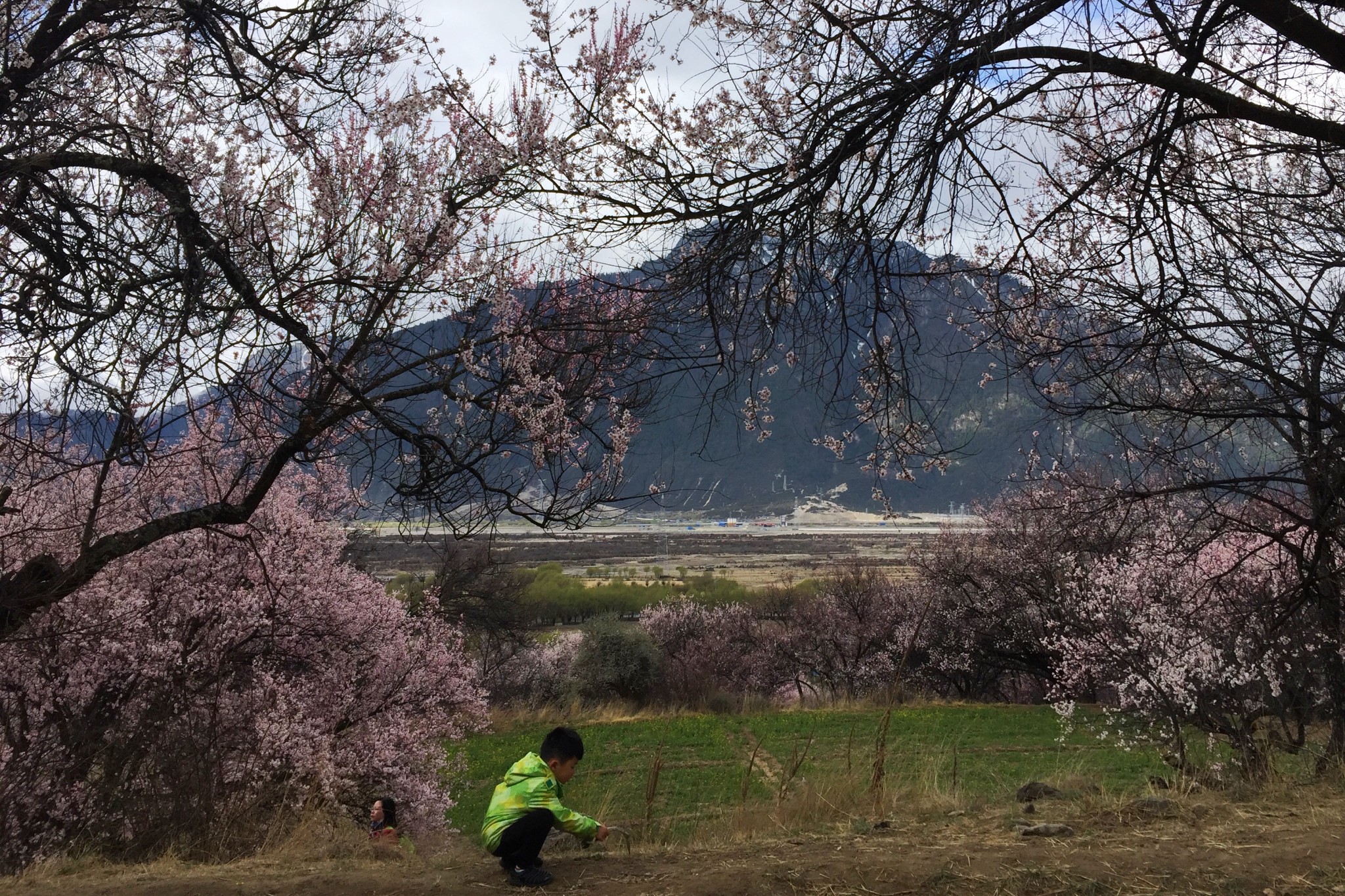 嘎拉桃花村