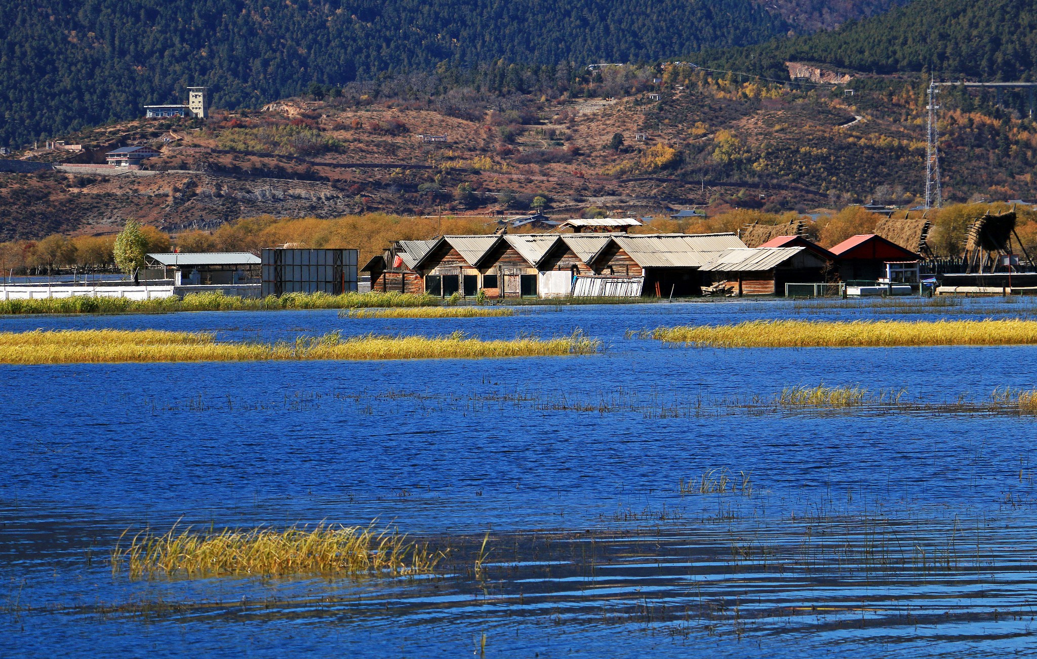 Shangri-la Napahai Nature Reserve