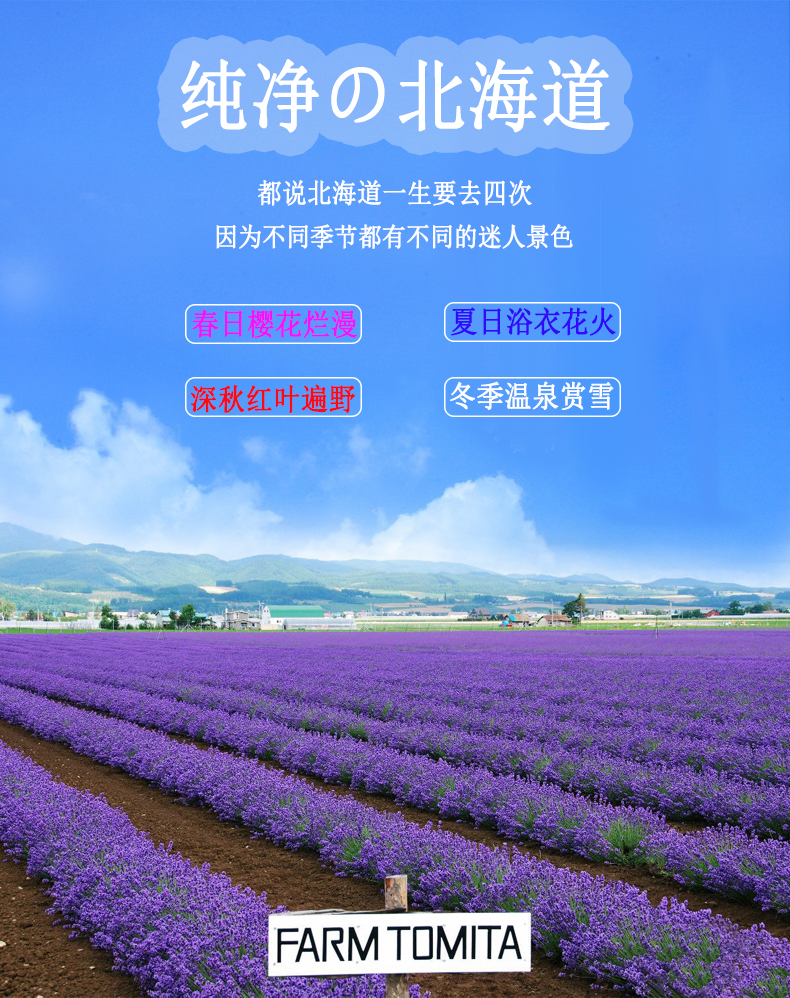 红叶清幽の北海道6日寻漫之旅 富田农场花海 美瑛町拼布田园 四季彩之秋 登别天然温泉 北海道渔港 马蜂窝自由行 马蜂窝自由行