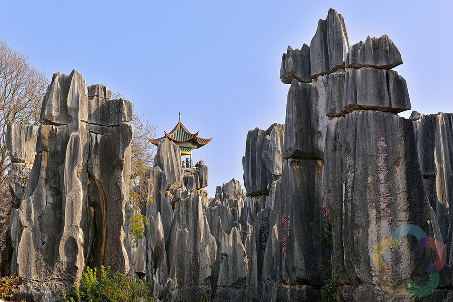 昆明石林九乡纯玩一日游提供上门接给游客充足时间饱览美景
