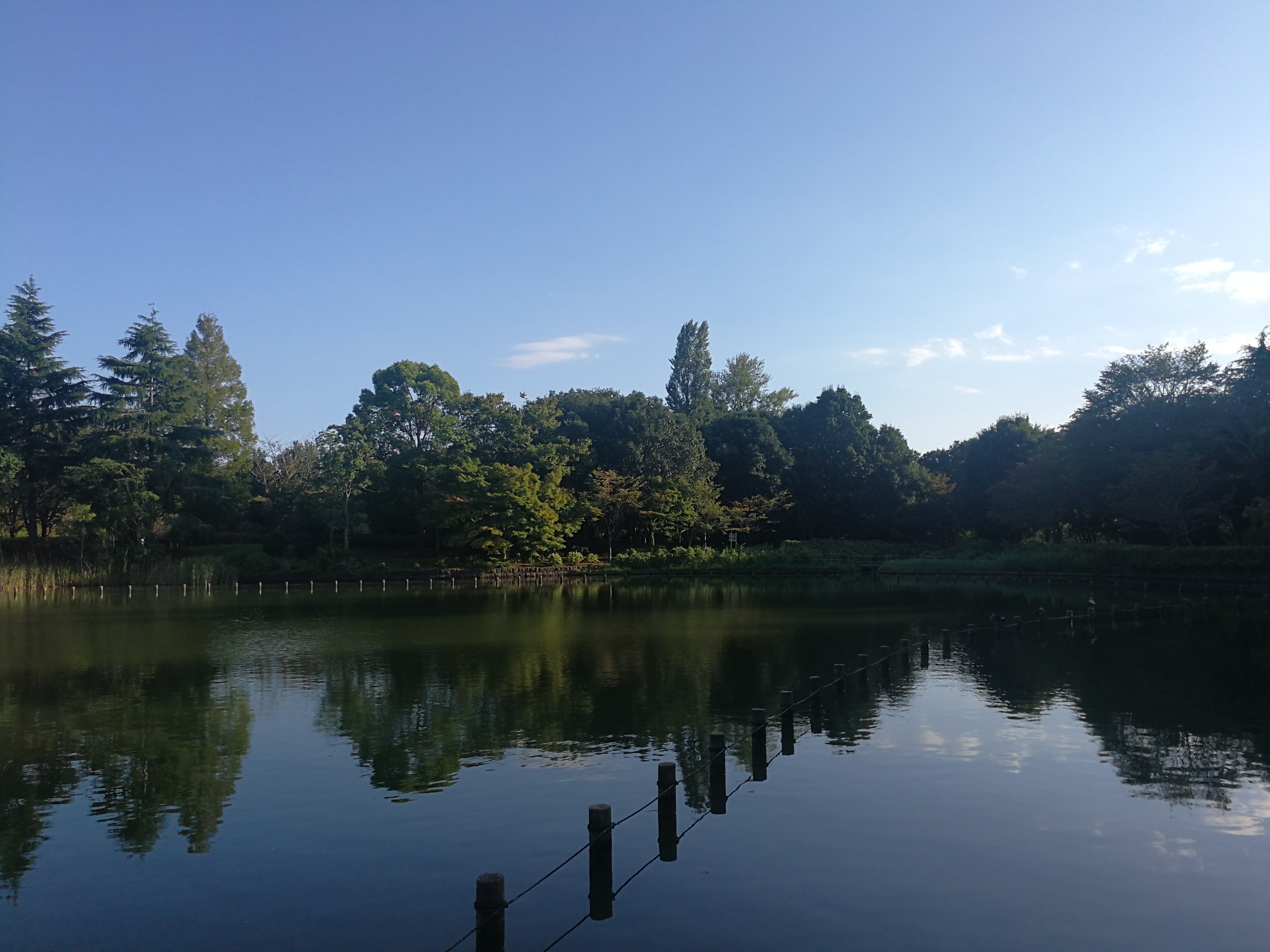 千叶县柏之叶公园