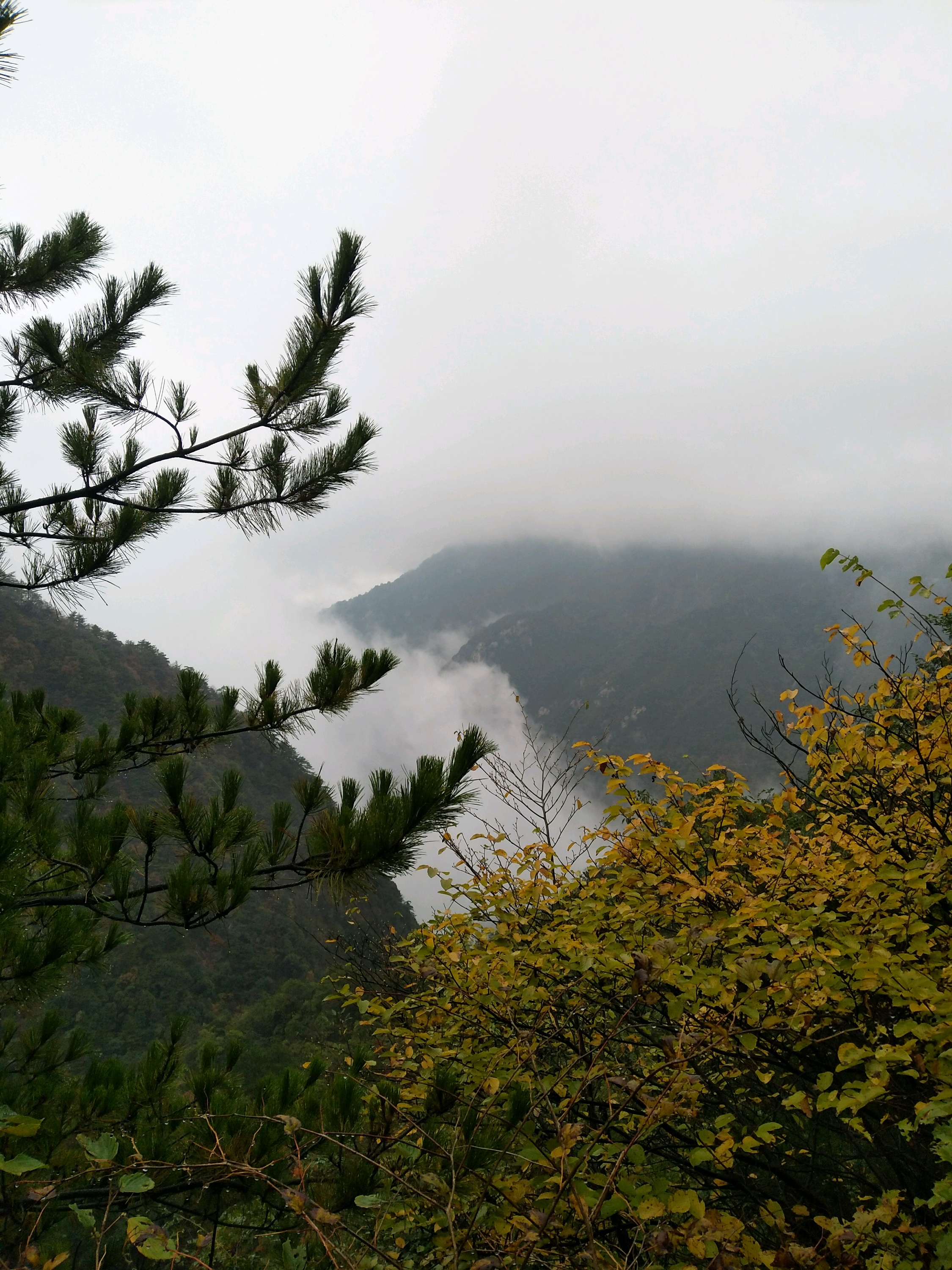 蘄春旅遊圖片,蘄春自助遊圖片,蘄春旅遊景點照片 - 馬蜂窩圖庫 - 馬