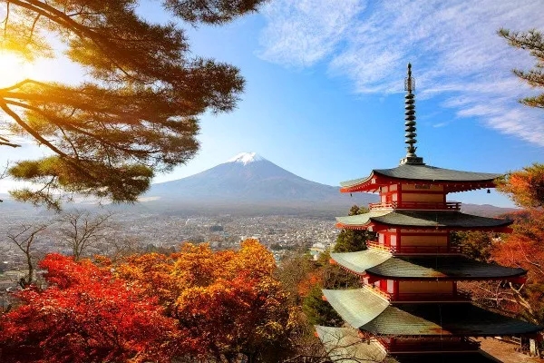 秋意濃 覓楓紅·廣州出發東京 富士山 京都 奈良 大阪6天5晚本州賞楓