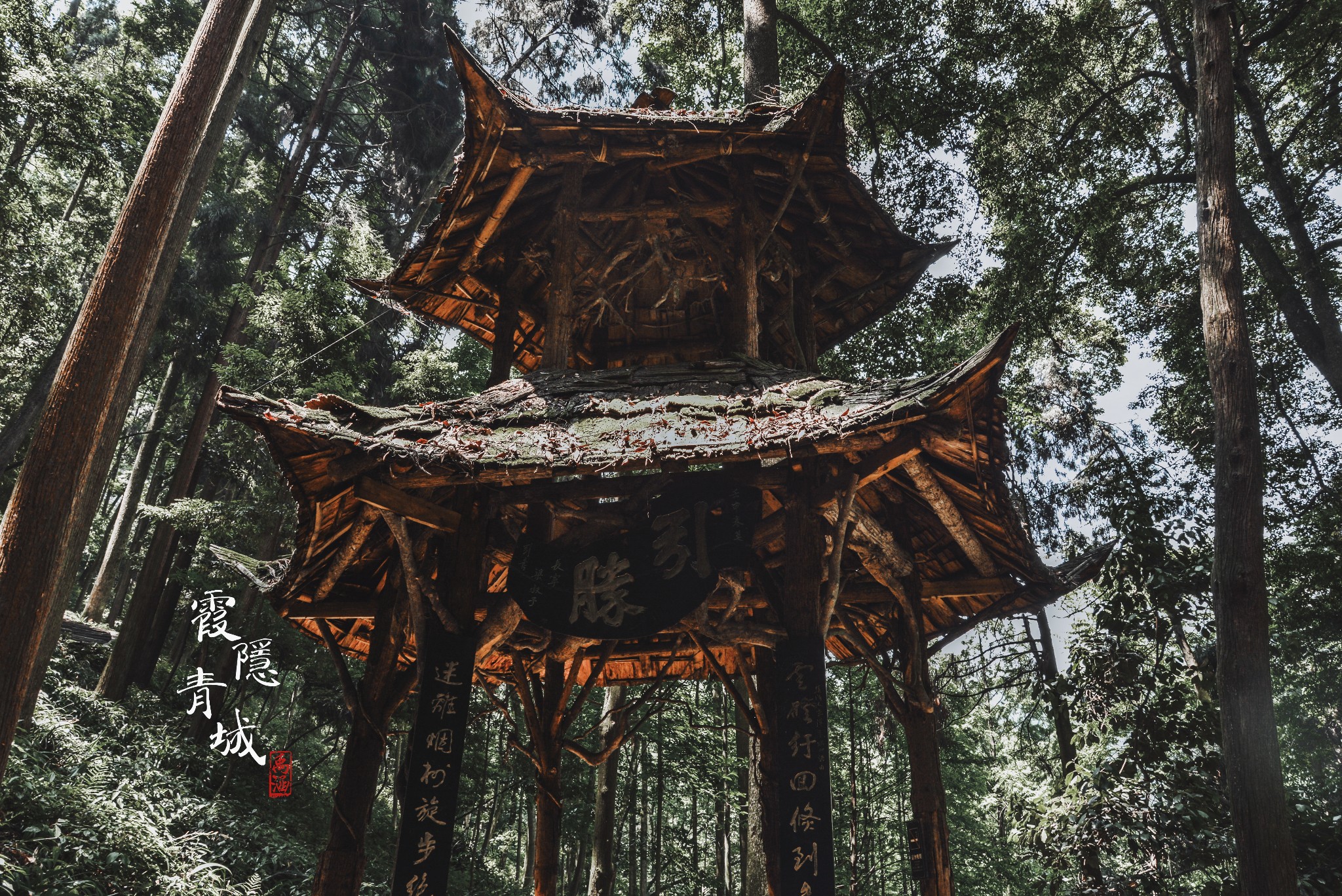 霞隐青城,道行天下——四川都江堰市青城山(前山 后山)行程总结【精华