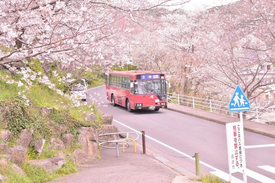 还在犹豫去日本哪里浪 九州人少樱美汤正还有特价 手机马蜂窝