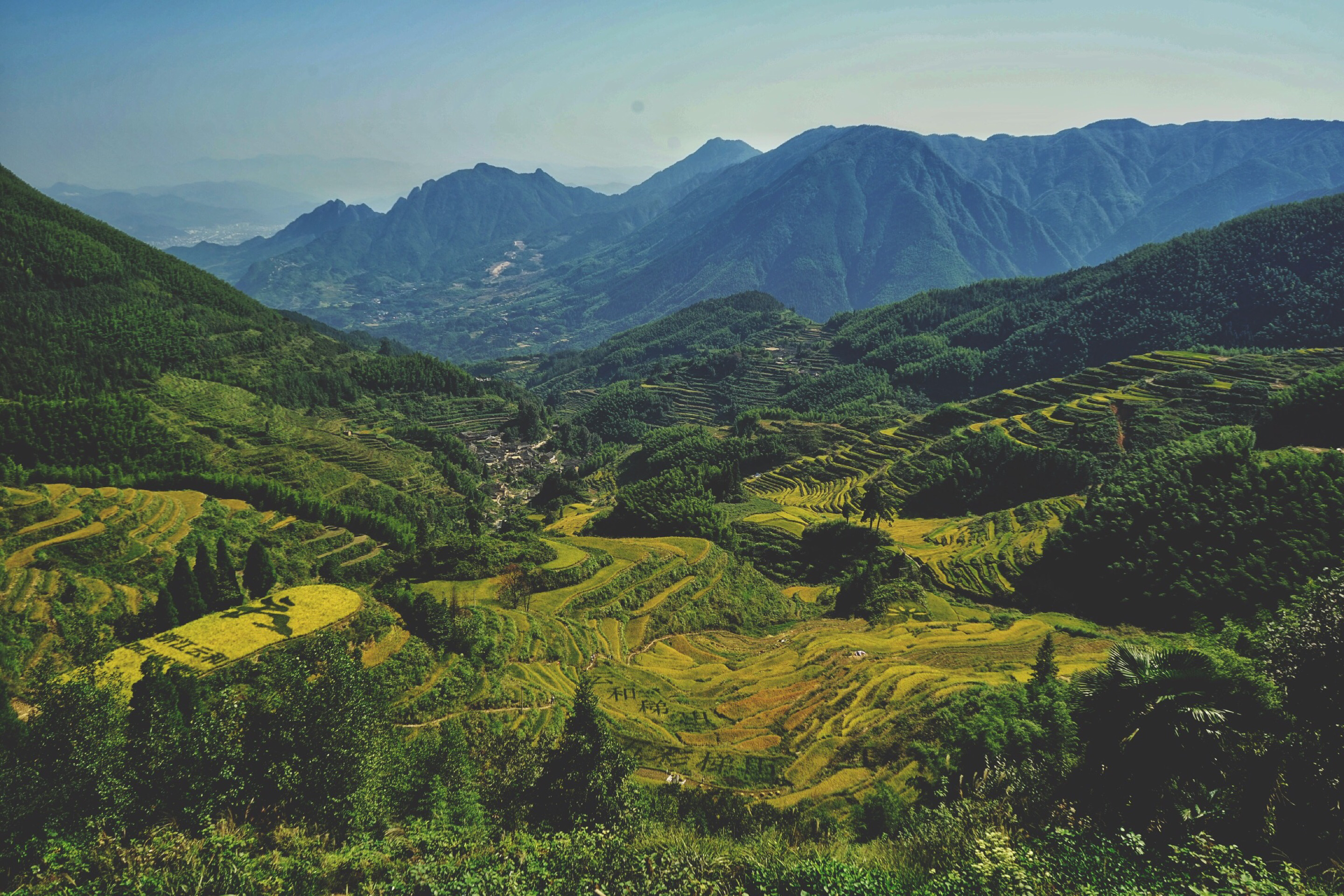 丽水云和梯田景区门票