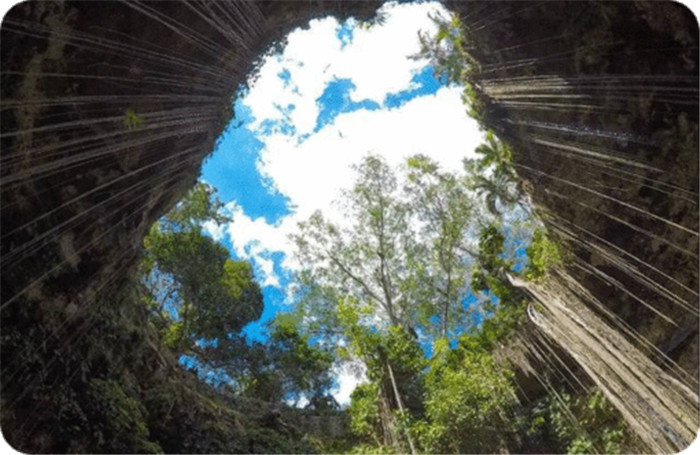 墨西哥坎昆奇琴伊察塞诺特天坑巴利亚多利德城市一日游酒店接送空调