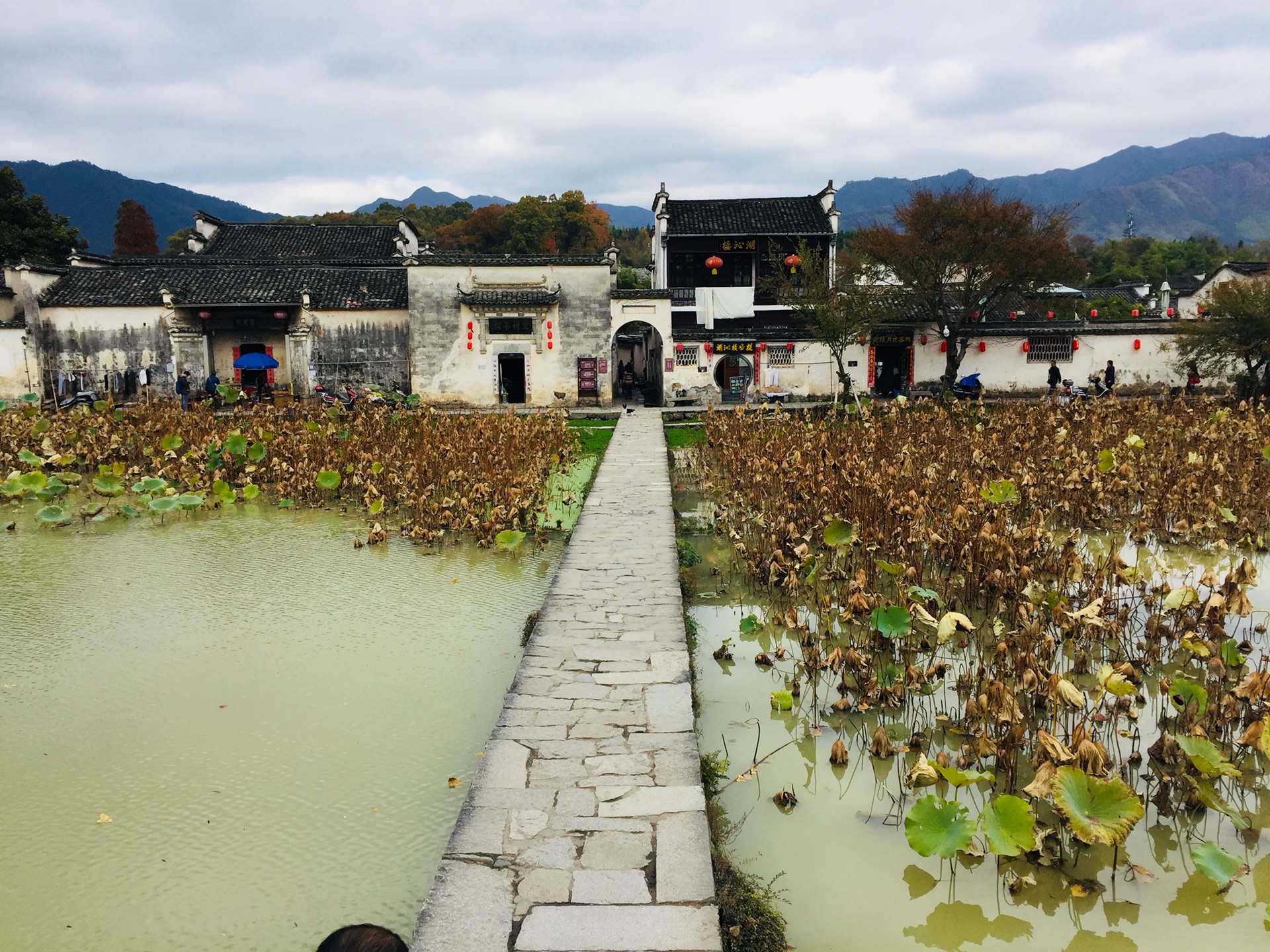 水墨徽州-2018秋色婺源宏村黃山遊,黟縣旅遊攻略 - 馬蜂窩