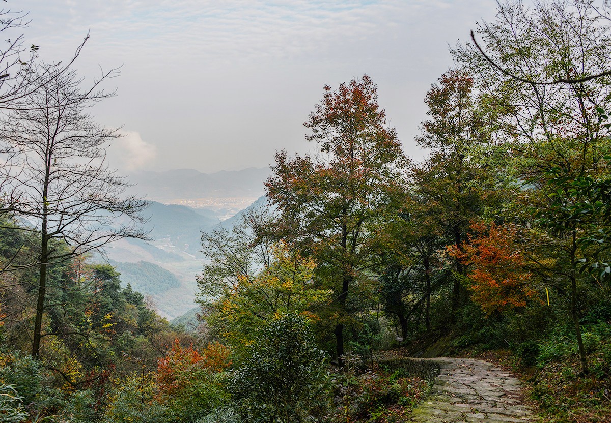 秋季浙江周边一日游推荐，带娃打卡网红赏秋地